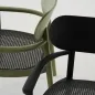 Preview: Thonet 119 F Dark Melange Buche olivgrün und schwarz gebeizt Detailansicht