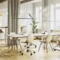 Preview: Thonet 1500 Tisch mit DUROPAL Beschichtung und Edelholzkante weiß