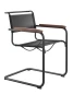 Preview: Thonet S34 N All Seasons Schwarz mit Holz Armlehnen Preview: Thonet S34 N All Seasons Schwarz mit Holz Armlehnen
