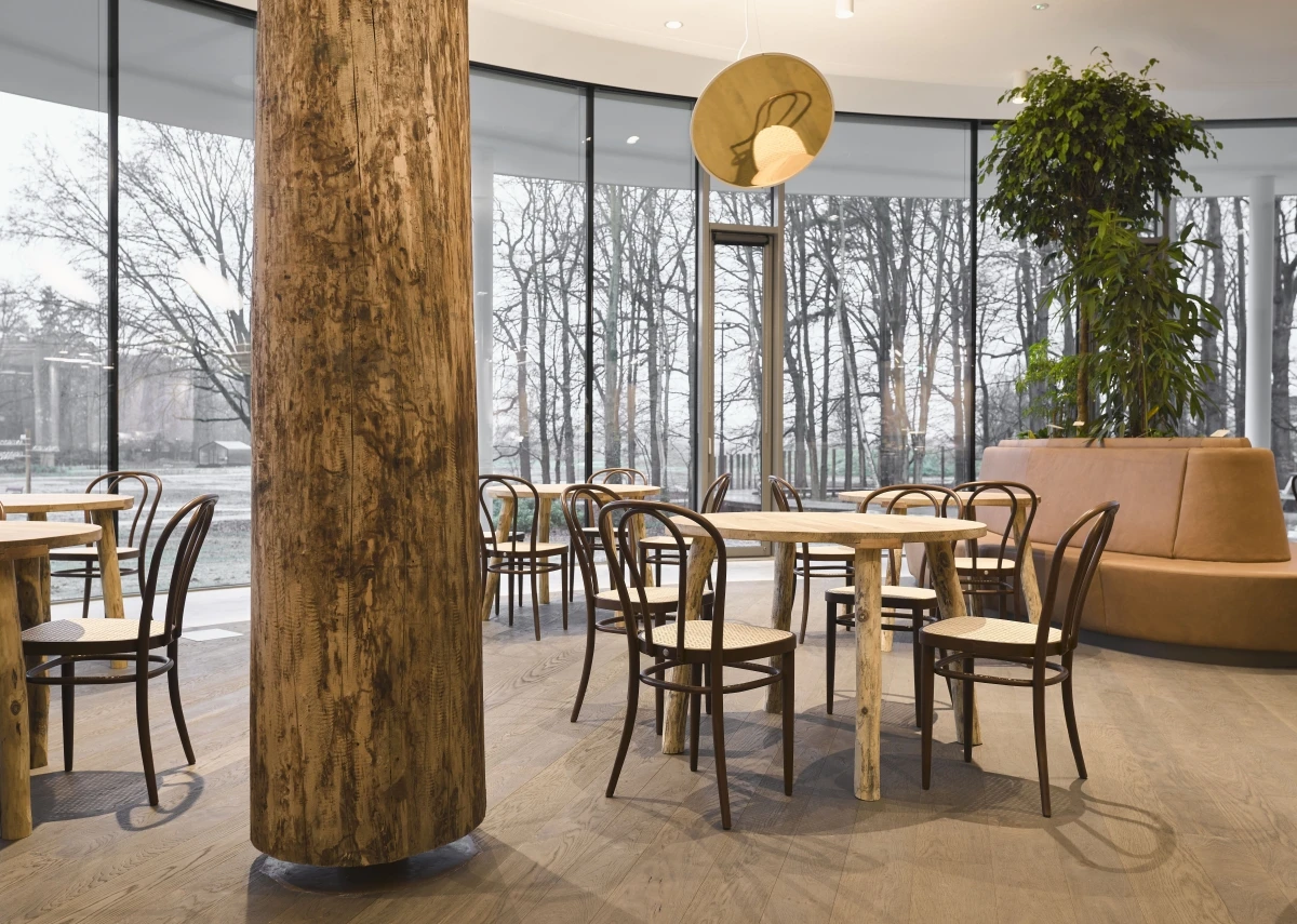 Thonet 218 Bistrostuhl nussbaum, natur Geflecht Interieur