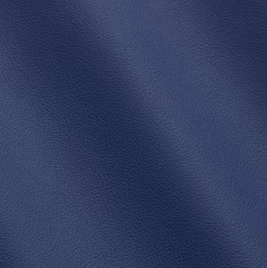 Electric Blue 441