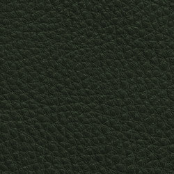 Leder I - Oxfordgrün