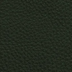 Leder I - Oxfordgrün