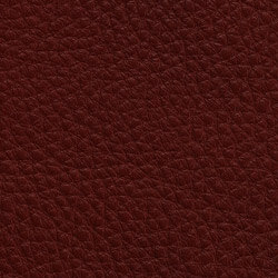 Leder I - Oxidrot