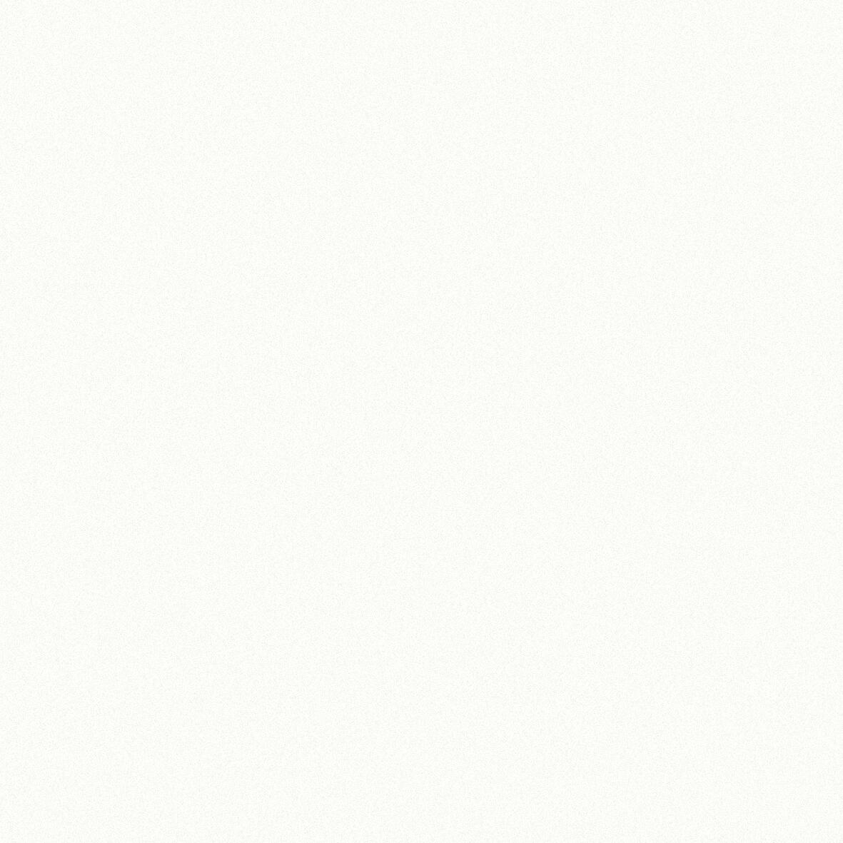 Decklack Reinweiss RAL9010