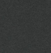 Linoleum schwarz (Forbo 4166 charcoal)
