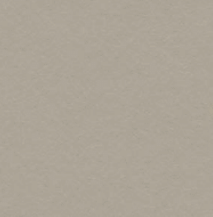 Linoleum hellgrau (Forbo 4175 pebble)