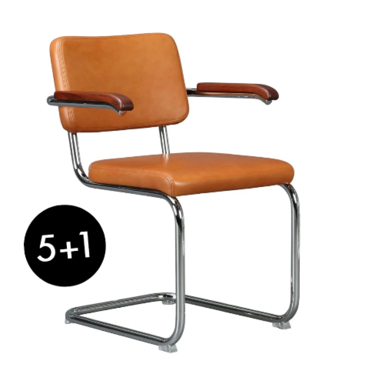 Thonet S64 PV Pure Materials 5+1 Aktion